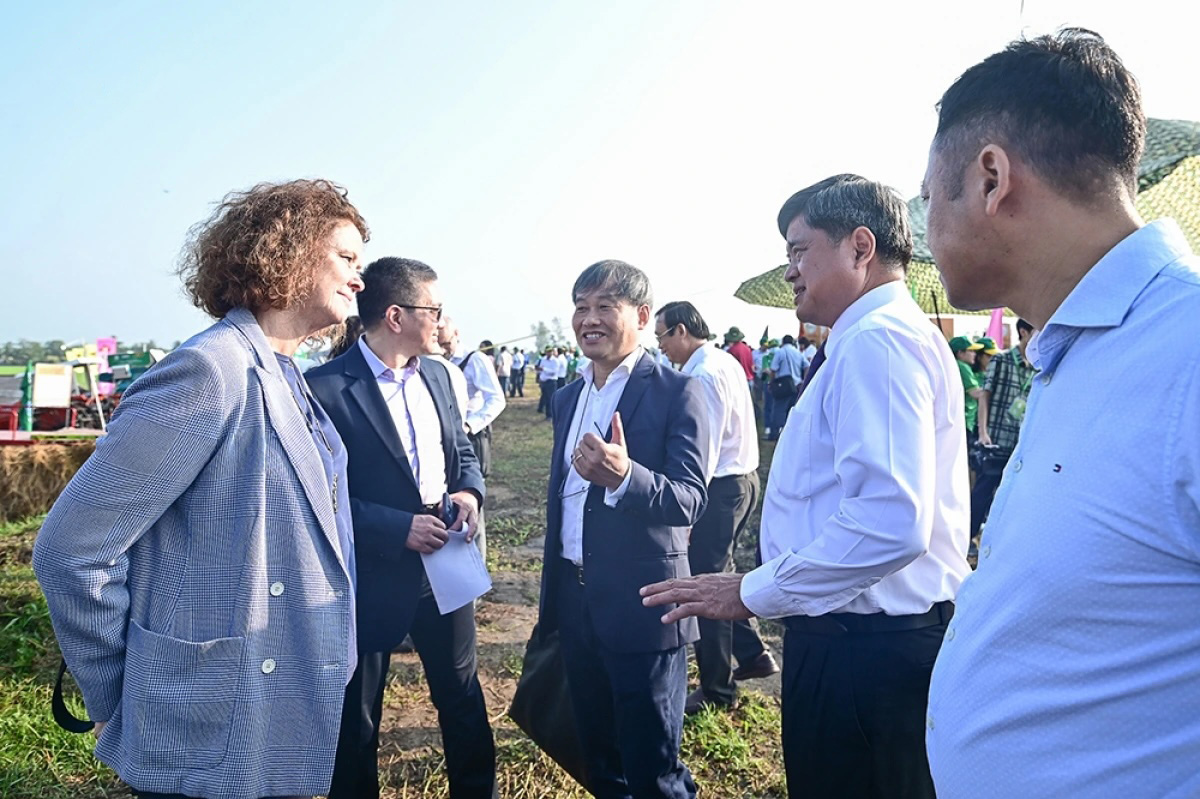 De an 1 trieu ha tin hieu tich cuc tu vua lua mien tay hinh anh 6